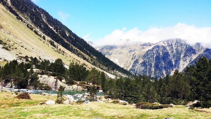 كوتيريه Residence Nemea Les Chalets D'Estive المظهر الخارجي الصورة